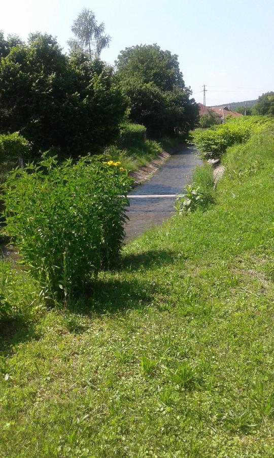 Riverside Apartman**** Miskolc Exterior photo